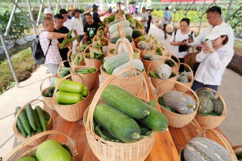 广州ttg吃瓜,吃瓜群众眼中的电竞风云