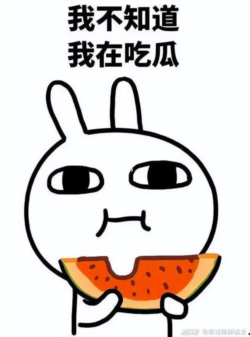 瓜瓜吃瓜 教案,趣味盎然的儿童教育教案解析