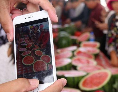 吃瓜内黄网站,探寻当地美食与文化魅力