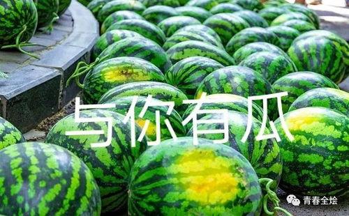 安平二中吃瓜,揭秘校园里的热点话题