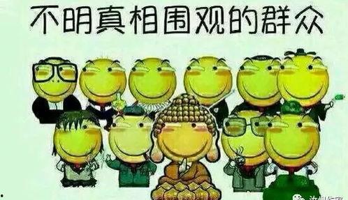 保险吃瓜群众,吃瓜群众眼中的风云变幻