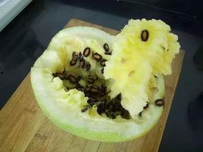 福建吃籽瓜么,吃籽瓜的传统习俗