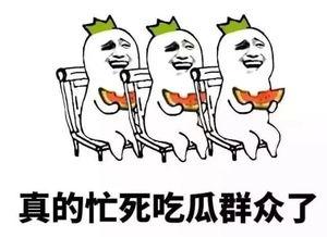 是你吃瓜吃少了,你吃瓜吃少了的精彩瞬间