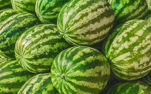 一般都在那吃瓜