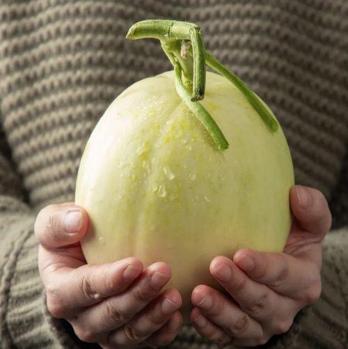 陕西夏县吃瓜视频