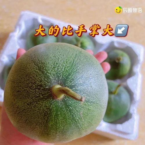 二辰在线吃瓜,揭秘娱乐圈幕后故事