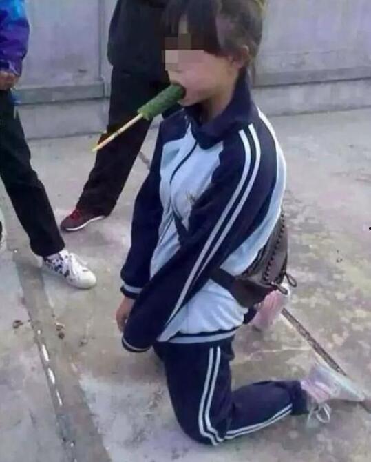 鹤壁霸凌吃瓜案件,校园暴力阴影下的真相与反思