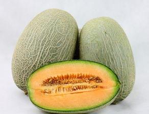 哈密瓜加红枣可以吃吗,美味营养两不误的养生美食