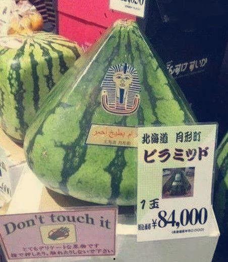 世界最强吃瓜群众图片