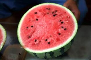 西站吃瓜,揭秘美食背后的故事与传奇