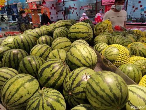庄河市吃瓜,品味清凉,畅享生活